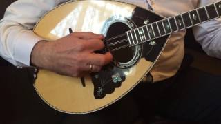 6 String Bouzouki by Stasinopoulos  Australia [upl. by Randal]