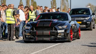 BEST OF Ford Mustang Sounds  Alphamale Widebody 400HP Ecoboost Mustang GT350R Roush Mustang [upl. by Erdman]