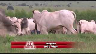 Fazenda Dois Irmãos [upl. by Elbertine]