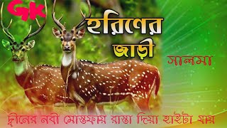 দ্বীনের নবী মোস্তফায় রাস্তা দিয়া হাইটা যায়  সালমা ইসলামী Dener nobi mostofa rashta diya haita jay [upl. by Keener62]