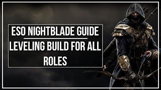 ESO Nightblade Leveling Build All Roles [upl. by Eachern2]