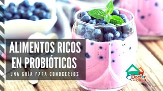 Alimentos que contienen probióticos [upl. by Akcired]