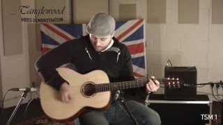 Tanglewood Demonstration  TSM 1 [upl. by Sternick]