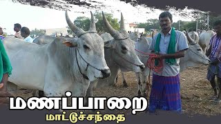 Manapparai mattu santhai  மணப்பாறை மாட்டு சந்தை [upl. by Oiluig799]