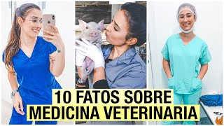 10 FATOSCURIOSIDADES sobre a FACULDADE de MEDICINA VETERINÁRIA [upl. by Ekoorb]