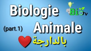 Biologie animale part 1  les protozoaires [upl. by Droc]