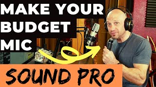 How To Get Great Vocals From A Budget Mic Tutorial [upl. by Adnoek]