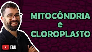 Mitocôndria e Cloroplasto  Aula 23  Módulo I Biologia Celular  Prof Gui [upl. by Giess]