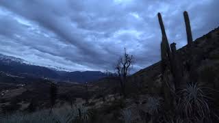 CERRO MANQUEHUE  VIENTO  NUBES Y LLUVIA [upl. by Acalia40]