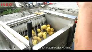 Industrial Automatic Potato Peeler Machine [upl. by Sanoy]