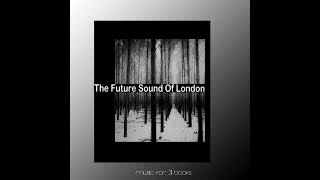 The Future Sound of London  Music for 3 Books 2021 Album [upl. by Baskett]