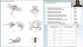 Unit 1 Classification Dichotomous key with past paper questions [upl. by Airec]