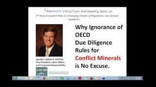 Why Ignorance of OECD Due Diligence Rules for Conflict Minerals is No Excuse [upl. by Tijnar]