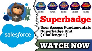 User Access Fundamentals Superbadge Unit  Salesforce Trailhead  Challenge 1 [upl. by Adnohsar]