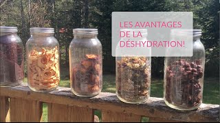 Les avantages de la déshydratation [upl. by Anived867]