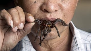 Inside The Cambodian Town That Eats Spiders [upl. by Gamal]