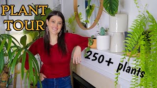 Full Houseplant Home Tour  250 Plants  My Entire Plant Collection [upl. by O'Driscoll]