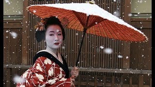 The Secret World Of Geishas [upl. by Icaj]