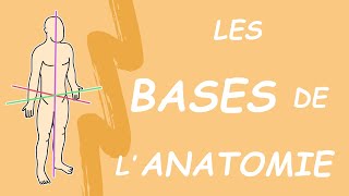 LES BASES DE LANATOMIE Généralités [upl. by Didier]