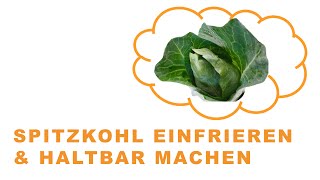 Spitzkohl einfrieren amp haltbar machen Die Anleitung [upl. by Eerehs]