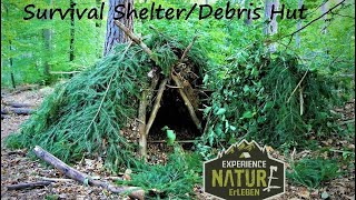 Draußen schlafen ohne Ausrüstung  Survival Shelter  Notunterkunft  Debris Hut  für Minusgrade [upl. by Elleinet146]