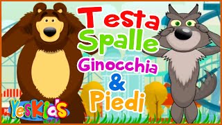 Testa Spalle Ginocchia e Piedi  Canzoni per Bambini di YesKids [upl. by Airotna]