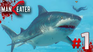 JAWS HAS RETURNED  Maneater Gameplay  Part 1 [upl. by Cowley]