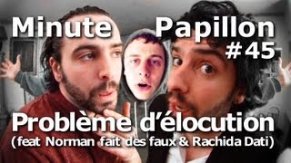 Minute Papillon 45 Problème délocution feat Norman fait des faux et Rachida Dati [upl. by Akenaj303]