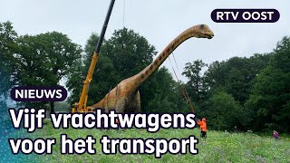 40 meter bij 8 hoog grootste dino van Europa staat in Denekamp  RTV Oost [upl. by Norek]