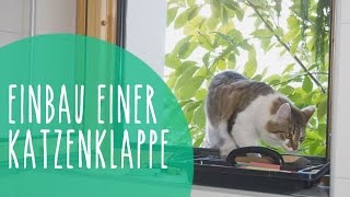 Katzenklappe in Isolierglas Fenster einbauen [upl. by Paradies]