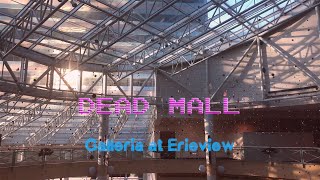 Galleria At Erieview  DEAD MALL in Downtown Cleveland [upl. by Nirra571]