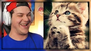 Try Not To Grin Or Aww Challenge Cute Animals  Reaction [upl. by Gessner]