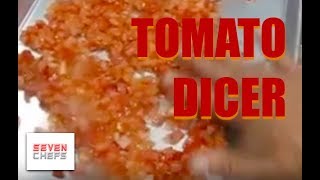 Slicing and Dicing Tomatoes in a Food Processor [upl. by Nevek]