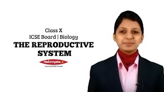 Class X  ICSE Board  Biology  The Reproductive System [upl. by Tonie]