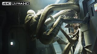 Prometheus 4K HDR  Engineer Vs Alien [upl. by Lynus]