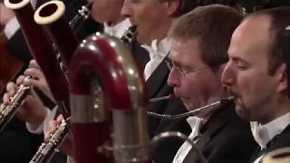 Beethoven Symphony No 5 bassoon solo [upl. by Findlay]