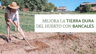 Como hacer BANCALES en el huerto y MEJORAR la TIERRA DURA [upl. by Nassah]