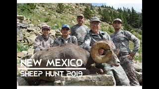 Pecos Wilderness Bighorn Sheep Hunt 2019  184quot Ram [upl. by Durning]