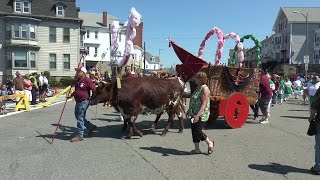 Grandes Festas do Divino Espirito Santo  Great Feast of The Holy Ghost 1  parade [upl. by Halliday264]