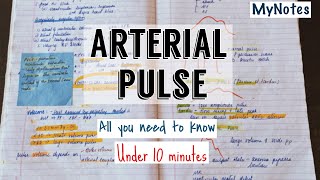 Arterial pulse  ridiculously easy  MyNotes [upl. by Anihpled462]