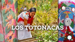 Nación Totonaca El pueblo originario de Veracruz [upl. by Rabassa280]