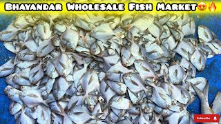 Bhayandar Wholesale Fish Market Bhayandar Fish Market Latest Video [upl. by Yrrat125]