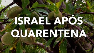 Natureza exuberante em Israel após quarentena Notícias de Israel Rede Israel Cafetorahcom [upl. by Torosian]