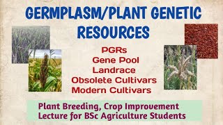 Germplasm part 1 in hindiPlant genetic resourcesPGRsGene poolLandraceObsolete amp Modern cultivar [upl. by Dannie]