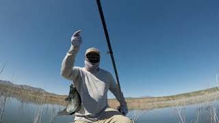 Spring crappie fishing Lake Roosevelt Arizona [upl. by Enetsuj879]