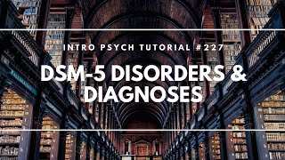 DSM5 Disorders amp Diagnoses Intro Psych Tutorial 227 [upl. by Marrilee]