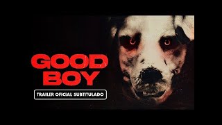 GOOD BOY TRAILER SUBTITULADO [upl. by Izak]