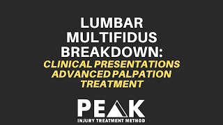 Lumbar Multifidus Muscle Clinical Presentations Palpation amp Treatment Demonstrations [upl. by Noremak959]