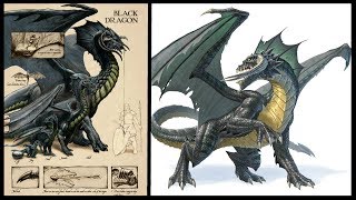 Dungeons and Dragons Lore Black Dragon Lore [upl. by Divad655]