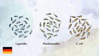 Basiswissen zur Trinkwasserhygiene [upl. by Nohtiek]